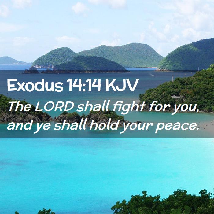 Exodus 14:14 KJV