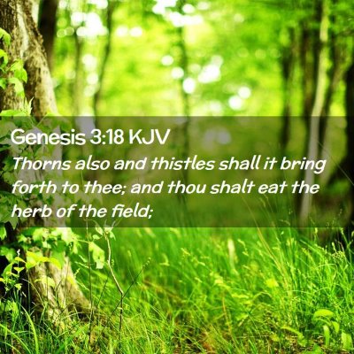 Genesis 3:18 KJV Free Bible Images