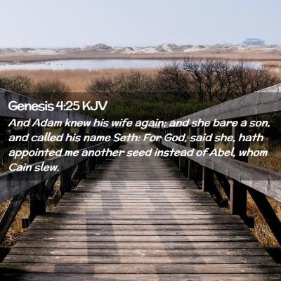 Genesis 4:25 KJV Free Bible Images