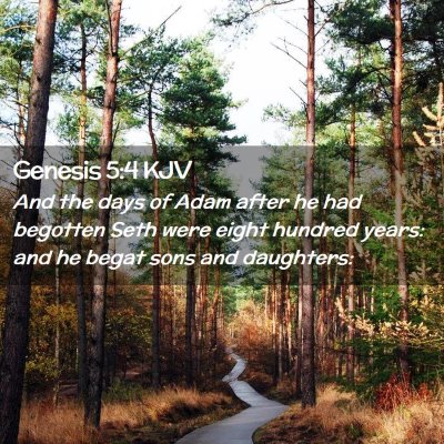 Genesis 5:4 KJV Free Bible Images