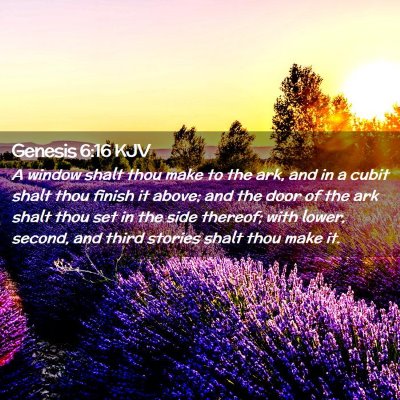 Genesis 6:16 KJV Free Bible Images