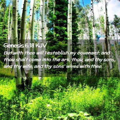 Genesis 6:18 KJV Free Bible Images