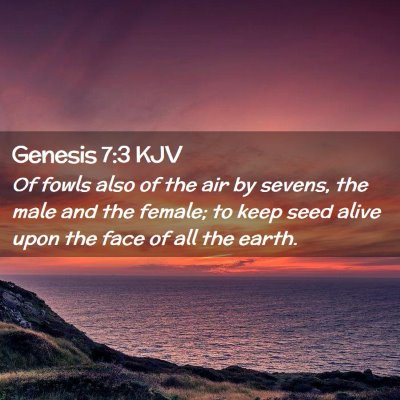 Genesis 7:3 KJV Free Bible Images