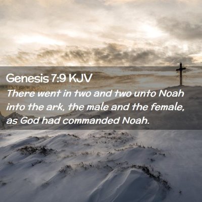 Genesis 7:9 KJV Free Bible Images