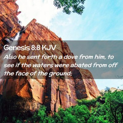 Genesis 8:8 KJV Free Bible Images