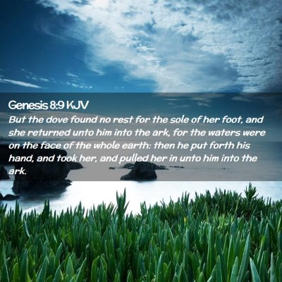 Genesis 8:9 KJV Free Bible Images