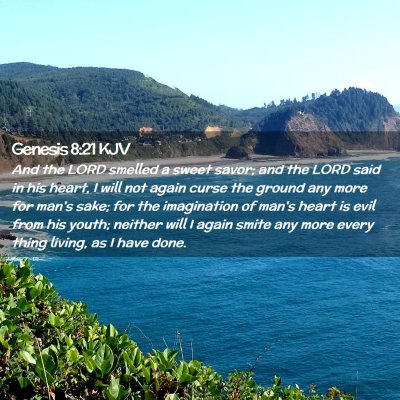 Genesis 8:21 KJV Free Bible Images