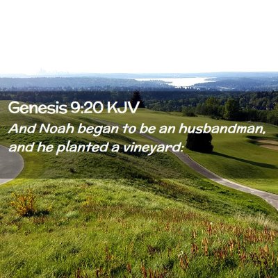 Genesis 9:20 KJV Free Bible Images