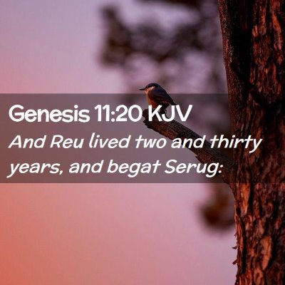 Genesis 11:20 KJV Free Bible Images