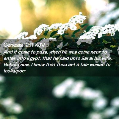 Genesis 12:11 KJV Free Bible Images