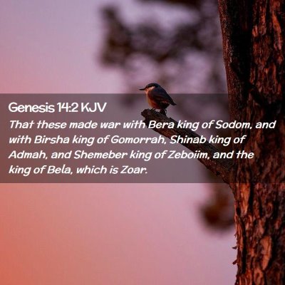 Genesis 14:2 KJV Free Bible Images