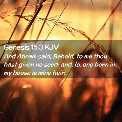 Genesis 15:3 KJV Free Bible Images