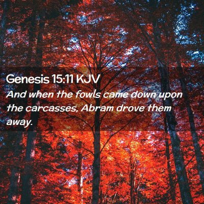 Genesis 15:11 KJV Free Bible Images