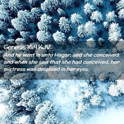 Genesis 16:4 KJV Free Bible Images