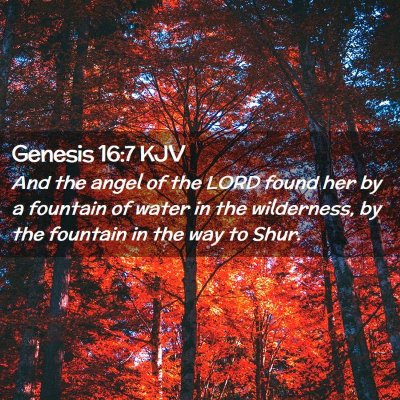 Genesis 16:7 KJV Free Bible Images