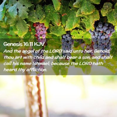 Genesis 16:11 KJV Free Bible Images