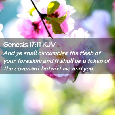 Genesis 17:11 KJV Free Bible Images