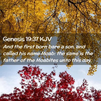 Genesis 19:37 KJV Free Bible Images