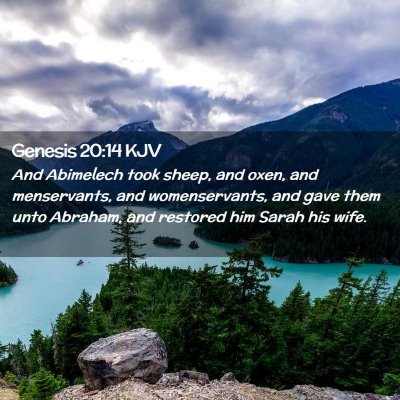 Genesis 20:14 KJV Free Bible Images