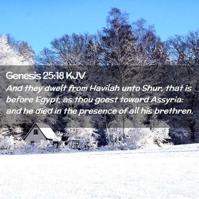 Genesis 25:18 KJV Free Bible Images