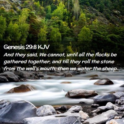 Genesis 29:8 KJV Free Bible Images