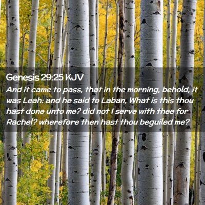 Genesis 29:25 KJV Free Bible Images