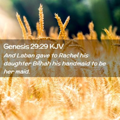 Genesis 29:29 KJV Free Bible Images