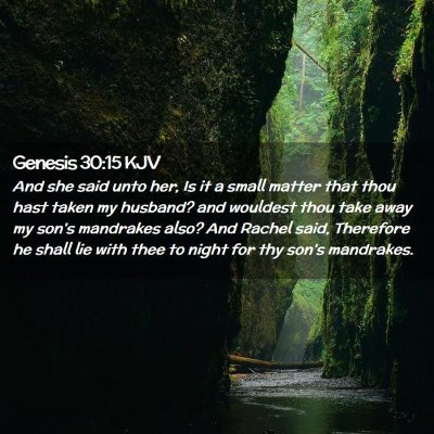 Genesis 30:15 KJV Free Bible Images