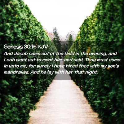 Genesis 30:16 KJV Free Bible Images