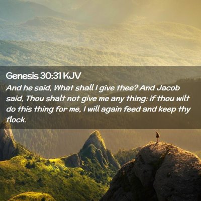 Genesis 30:31 KJV Free Bible Images