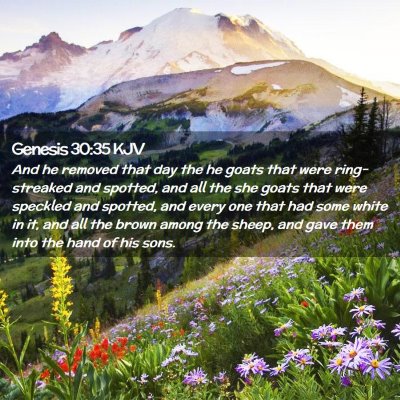 Genesis 30:35 KJV Free Bible Images