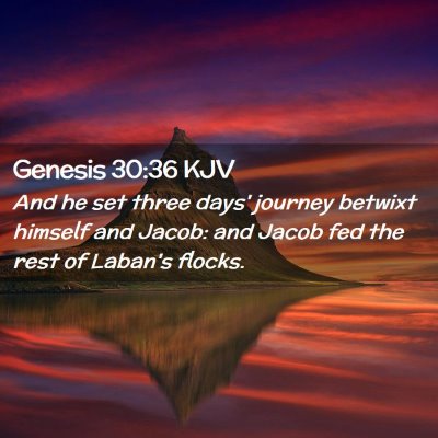 Genesis 30:36 KJV Free Bible Images