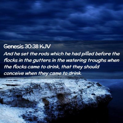 Genesis 30:38 KJV Free Bible Images