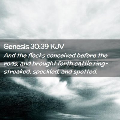 Genesis 30:39 KJV Free Bible Images