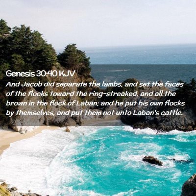 Genesis 30:40 KJV Free Bible Images