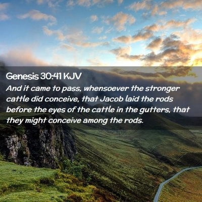 Genesis 30:41 KJV Free Bible Images