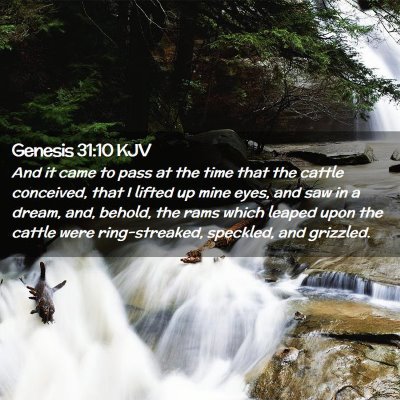 Genesis 31:10 KJV Free Bible Images