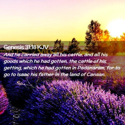 Genesis 31:18 KJV Free Bible Images