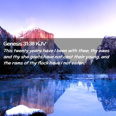 Genesis 31:38 KJV Free Bible Images