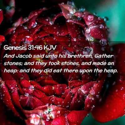 Genesis 31:46 KJV Free Bible Images