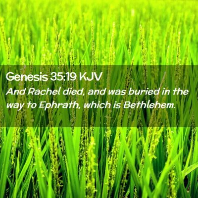 Genesis 35:19 KJV Free Bible Images