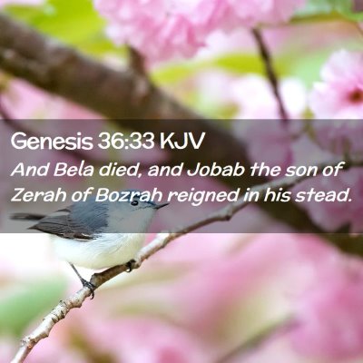 Genesis 36:33 KJV Free Bible Images