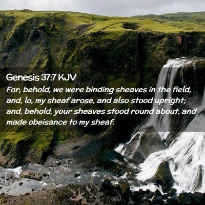 Genesis 37:7 KJV Free Bible Images