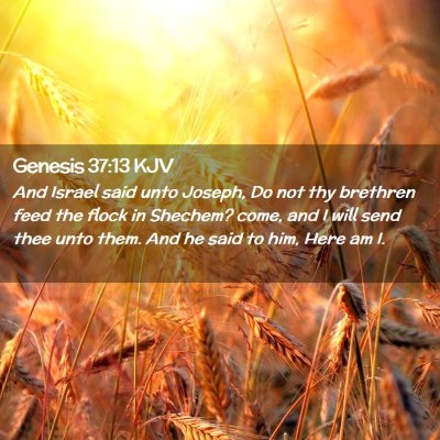 Genesis 37:13 KJV Free Bible Images