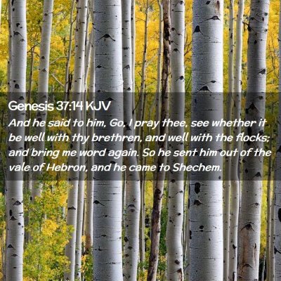 Genesis 37:14 KJV Free Bible Images