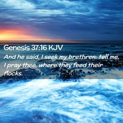 Genesis 37:16 KJV Free Bible Images