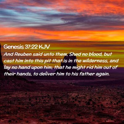 Genesis 37:22 KJV Free Bible Images