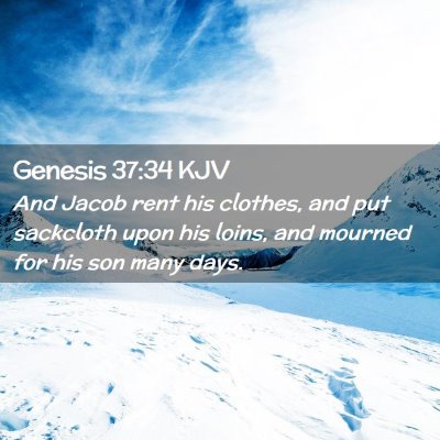 Genesis 37:34 KJV Free Bible Images