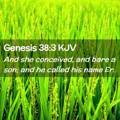 Genesis 38:3 KJV Free Bible Images