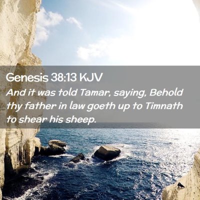 Genesis 38:13 KJV Free Bible Images